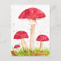 Toadstool Champignons Forêt aquarelle Rouge Nature