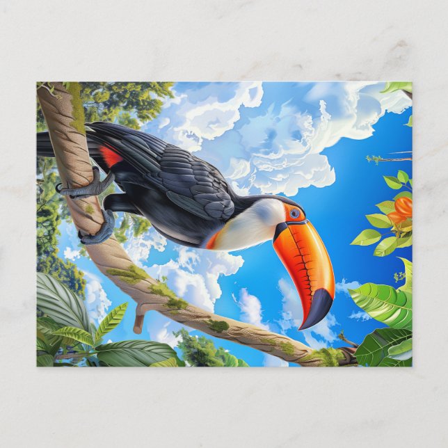 Carte Postale Toco toucan (Devant)