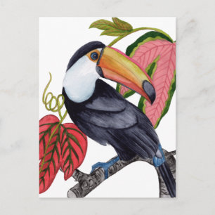 Carte Postale Toco Toucan