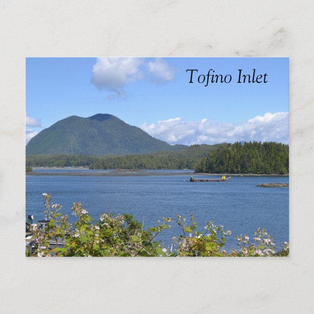 Carte Postale Tofino Inlet (Devant)