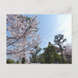 Carte Postale Tokyo Cherry Blossoms Sakura