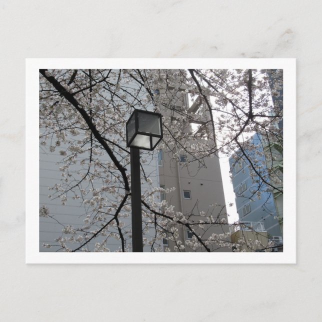 Carte Postale Tokyo Streetlights : Yushima (Devant)
