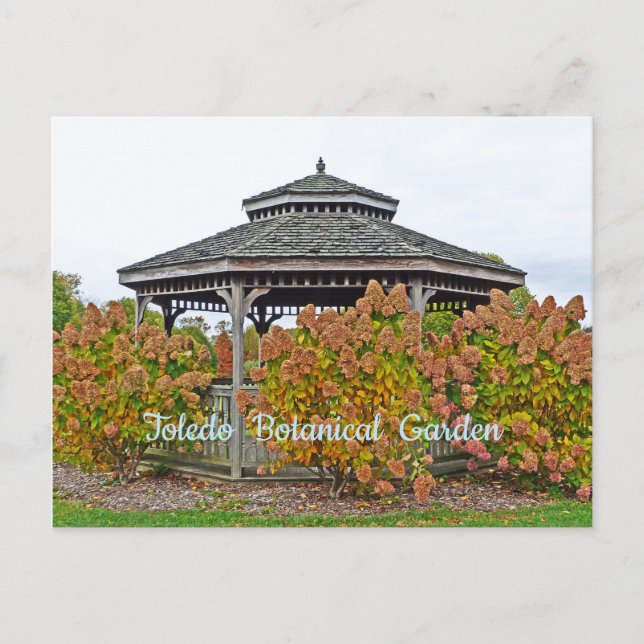 CARTE POSTALE TOLEDO JARDIN BOTANIQUE GAZEBO AVEC HYDRANGEAS (Devant)