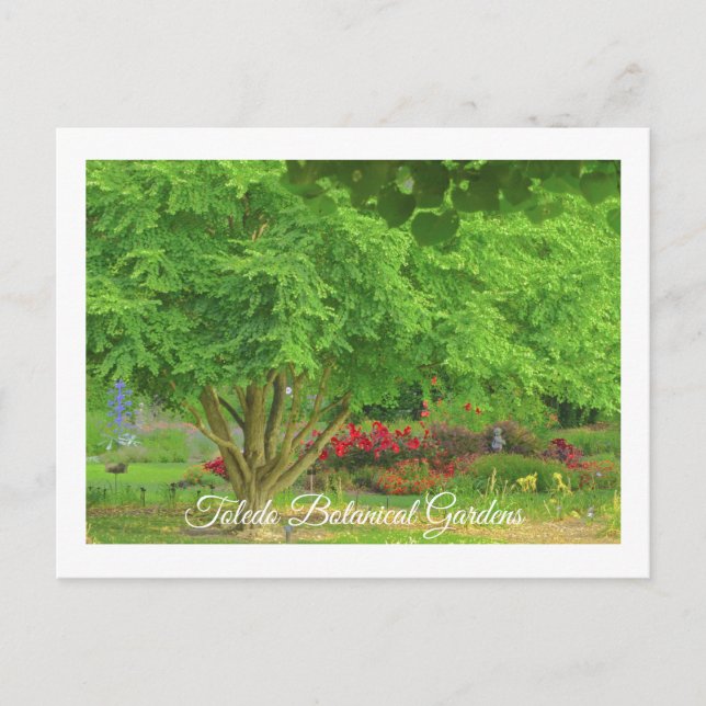 CARTE POSTALE TOLEDO JARDIN BOTANIQUE, TOLEDO, OHIO USA (Devant)
