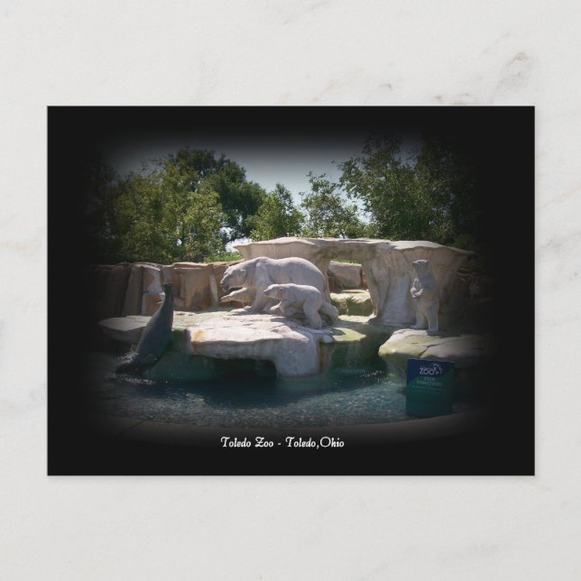 Carte Postale Toledo Zoo Polar Bear Statue Postcard (Devant)