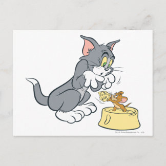 Carte Postale Tom and Jerry Feed The Cat