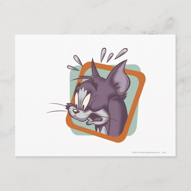 Carte Postale Tom Scaredy Cat (Devant)