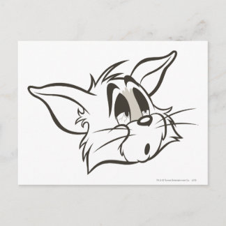 Carte Postale Tom Sleepy Chat