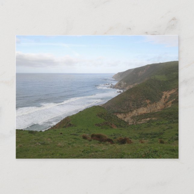 Carte Postale Tomales Point à Point Reyes National Seashore (Devant)