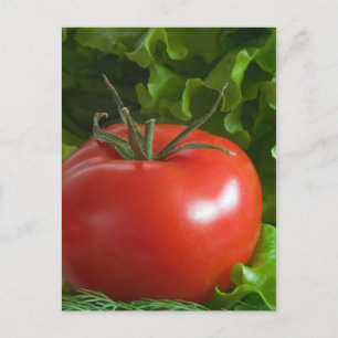 Carte Postale Tomate