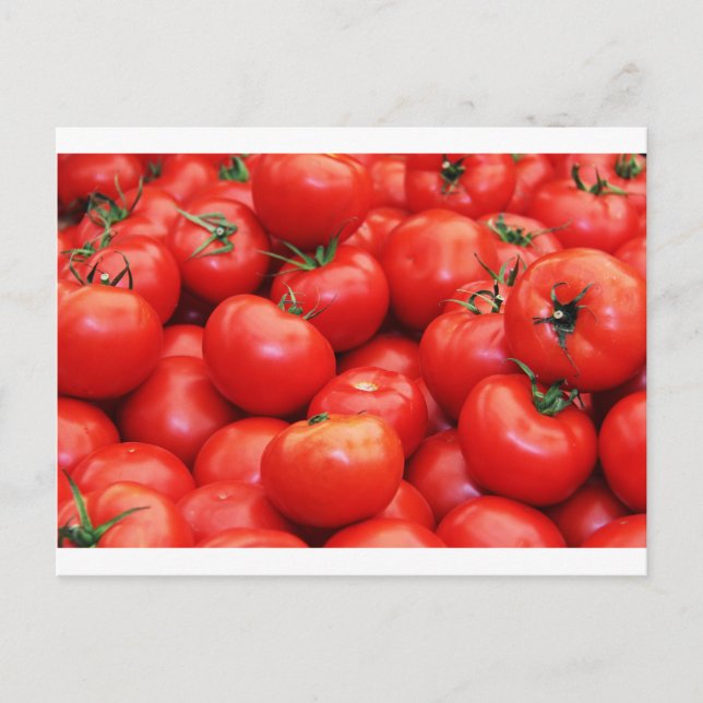 Carte Postale Tomates (Devant)