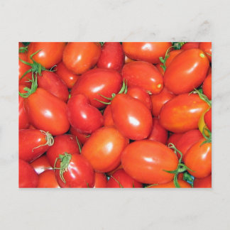 Carte Postale Tomates de prune