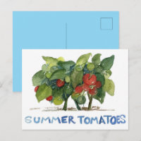 Tomates d'été Jardin de légumes Fruit Legume Corre