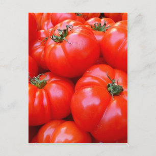 Carte Postale tomates fraîches
