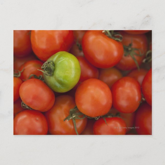 Carte Postale tomates rouges avec un vert à vendre à (Devant)