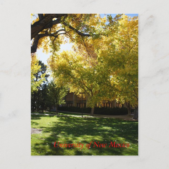 Carte Postale Tomber sur le campus I (Devant)