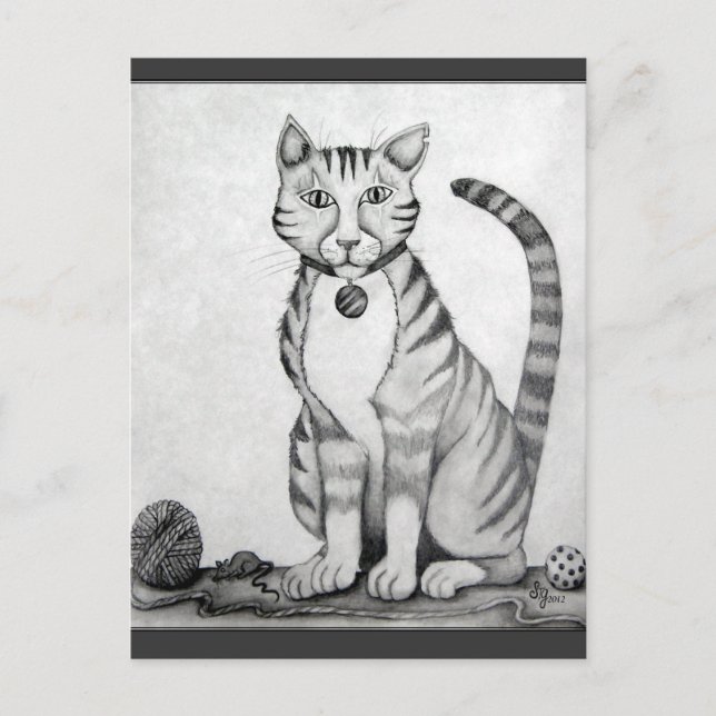 Carte Postale TomCat vieux tigre (Devant)