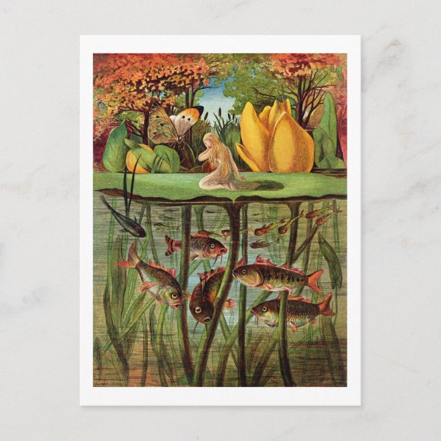 Carte Postale Tommelise très désolé sur la feuille de lys d'eau, (Devant)