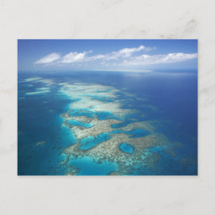 Carte Postale Tongue Reef, parc marin de la Grande Barrière de c
