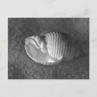 Carte Postale Tonna Tesselata