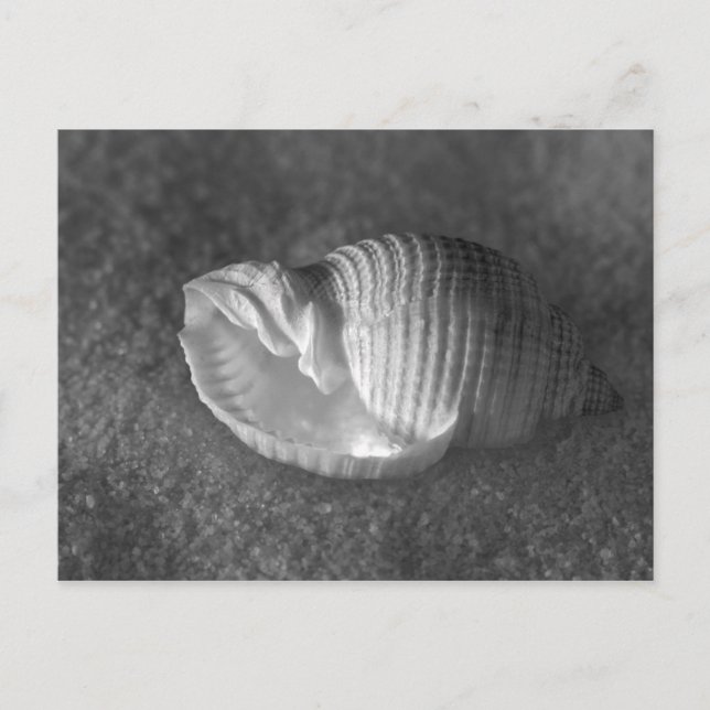 Carte Postale Tonna Tesselata (Devant)