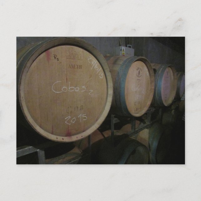 Carte Postale tonneaux de vin rouge (Devant)