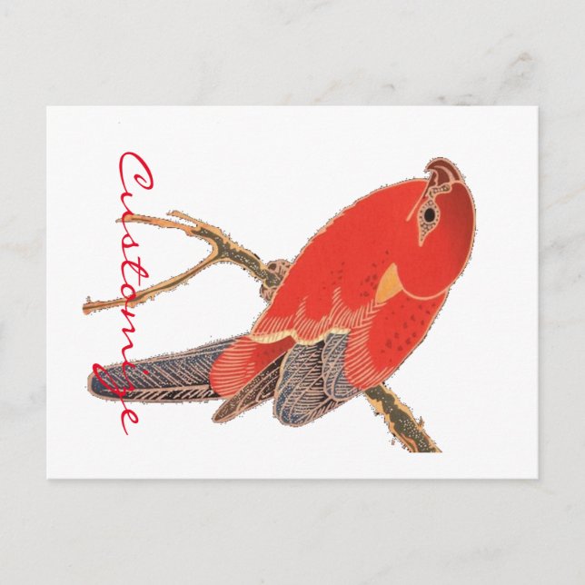 Carte Postale Tonnerre de perroquet rouge tropical (Devant)