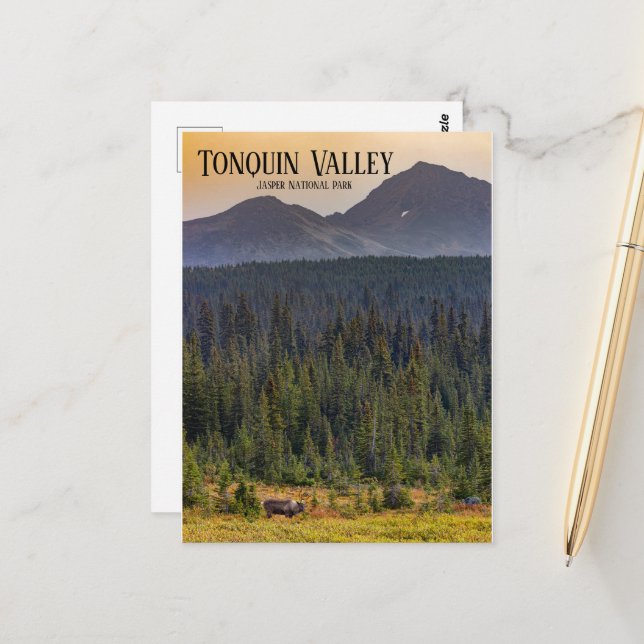 Carte Postale Tonquin Valley, Jasper NP Caribou Postcard (Devant/Arrière en situation)