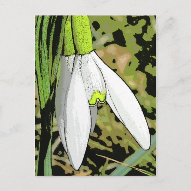 Carte Postale Tons de neige (Devant)