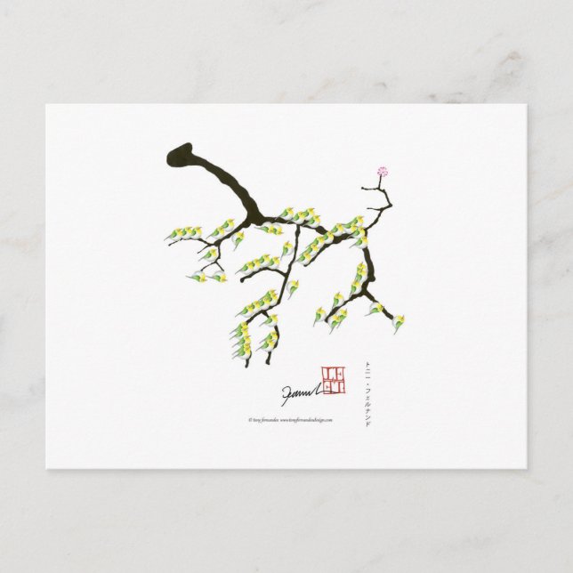 Carte Postale tony fernandes sakura (Devant)