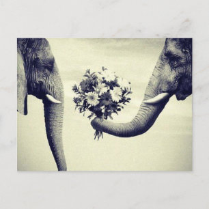 Carte Postale Top