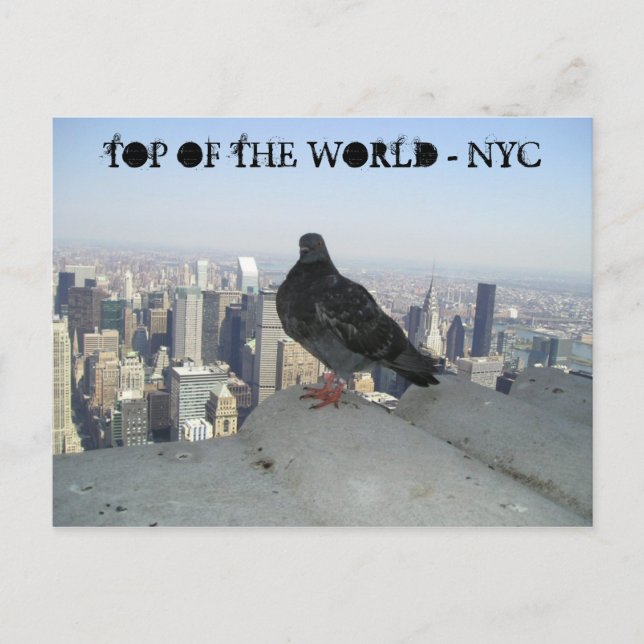 CARTE POSTALE TOP OF THE WORLD - NYC (Devant)