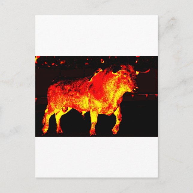 CARTE POSTALE TORO BRAVO (Devant)