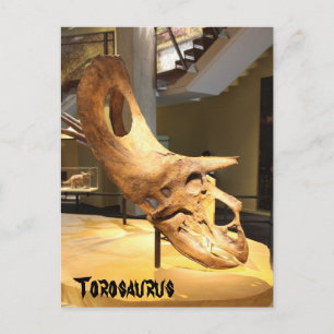 Carte Postale Torosaure