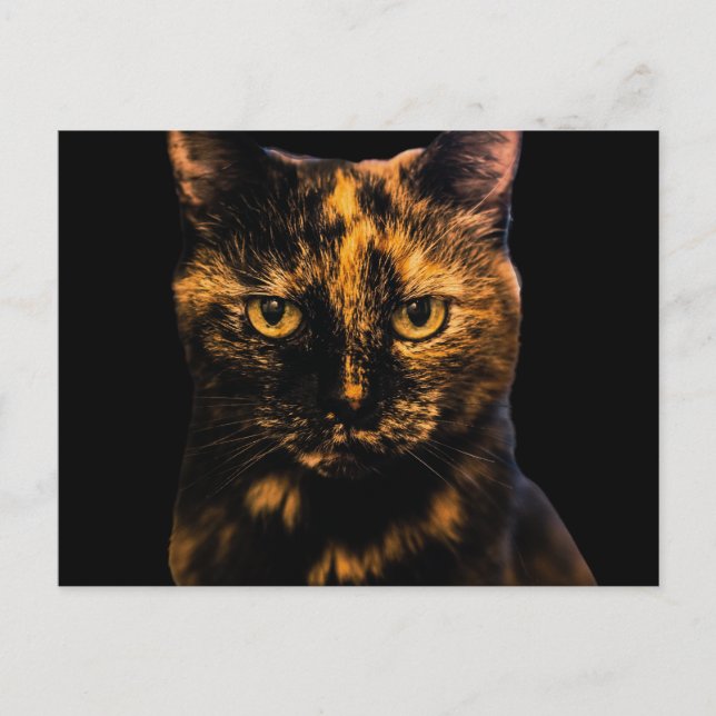 Carte Postale Tortie Cat Love Design #2 (Devant)