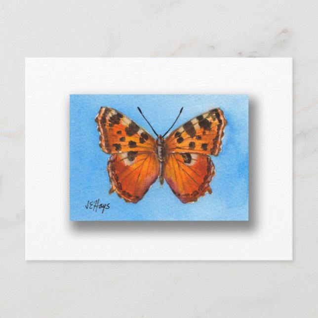 Carte postale Tortoise Shell Butterfly (Devant)
