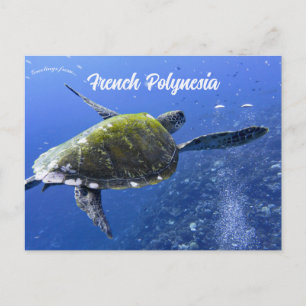 Carte Postale Tortue à Mo'orea Polynésie française