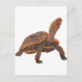Carte Postale Tortue Copie Copie Copie Copie Copie Copie Copie