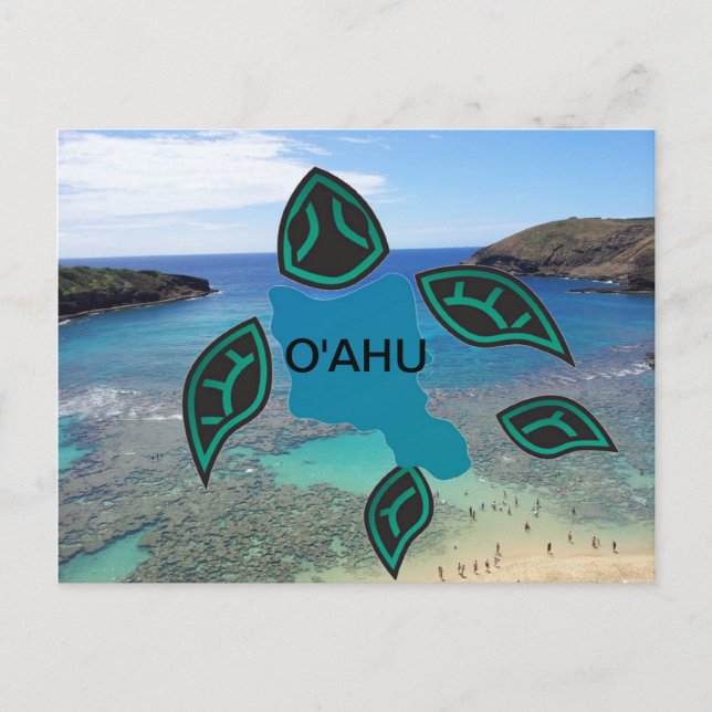 Carte Postale Tortue de l'île Hawaii Oahu (Devant)
