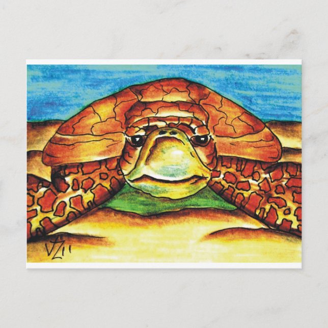 Carte Postale Tortue de mer (Devant)