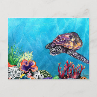 Carte Postale Tortue de mer