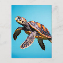 Tortue de mer colorée nageant sous l'eau