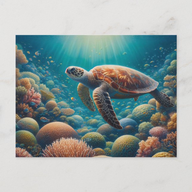 Carte Postale Tortue de mer et corail (Devant)