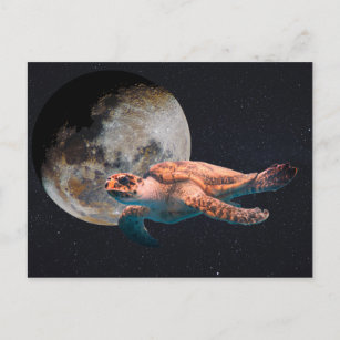 Carte Postale tortue de mer surréaliste dans le collage spatial