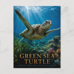 Carte Postale Tortue de mer verte récif de corail ANIMAUX