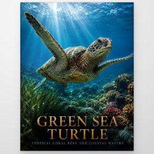 Carte Postale Tortue de mer verte récif de corail ANIMAUX