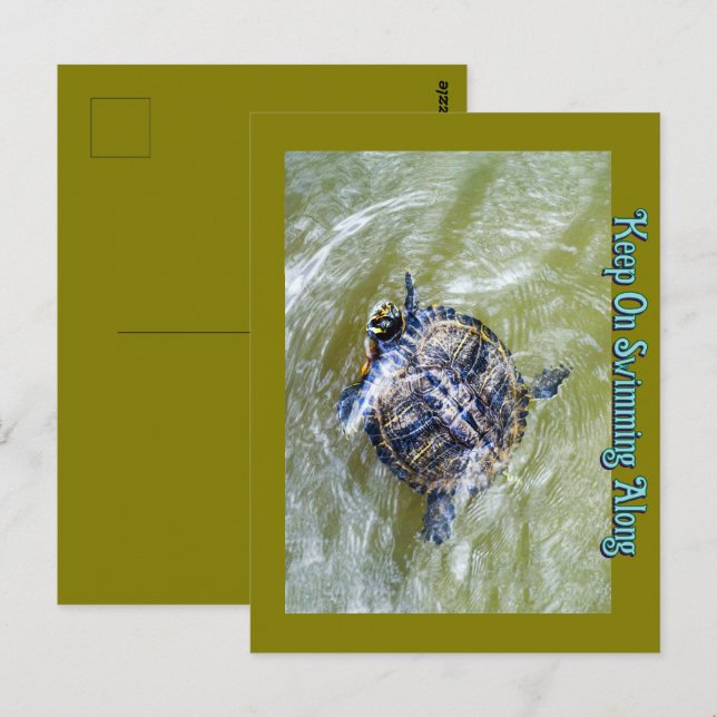 Carte Postale Tortue de natation dit Bonjour (Devant / Derrière)