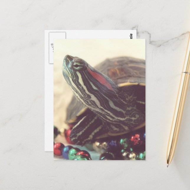 Carte Postale Tortue de Noël (Devant/Arrière en situation)