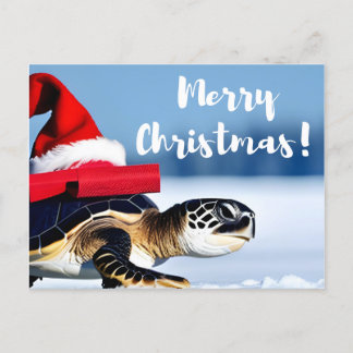 Carte Postale Tortue de Noël