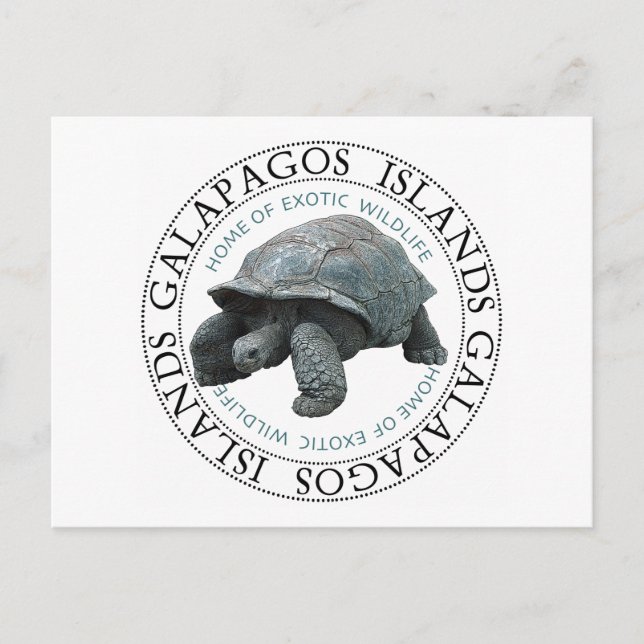 Carte Postale Tortue des îles Galapagos (Devant)